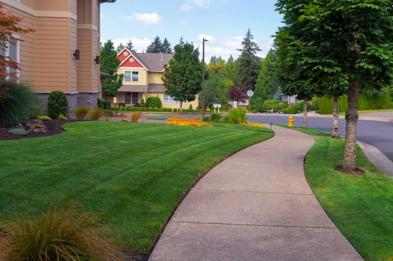 Sidewalk Construction in Denver, CO